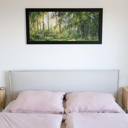 Apartman Na Kamenci Teplice nad Metují Eksteriør billede